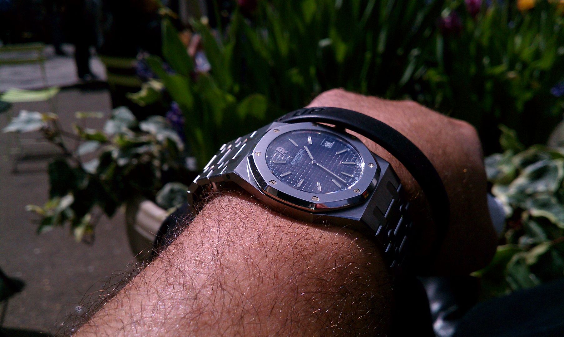 Patek Philippe Nautilus vs. Audemars Piguet Royal Oak